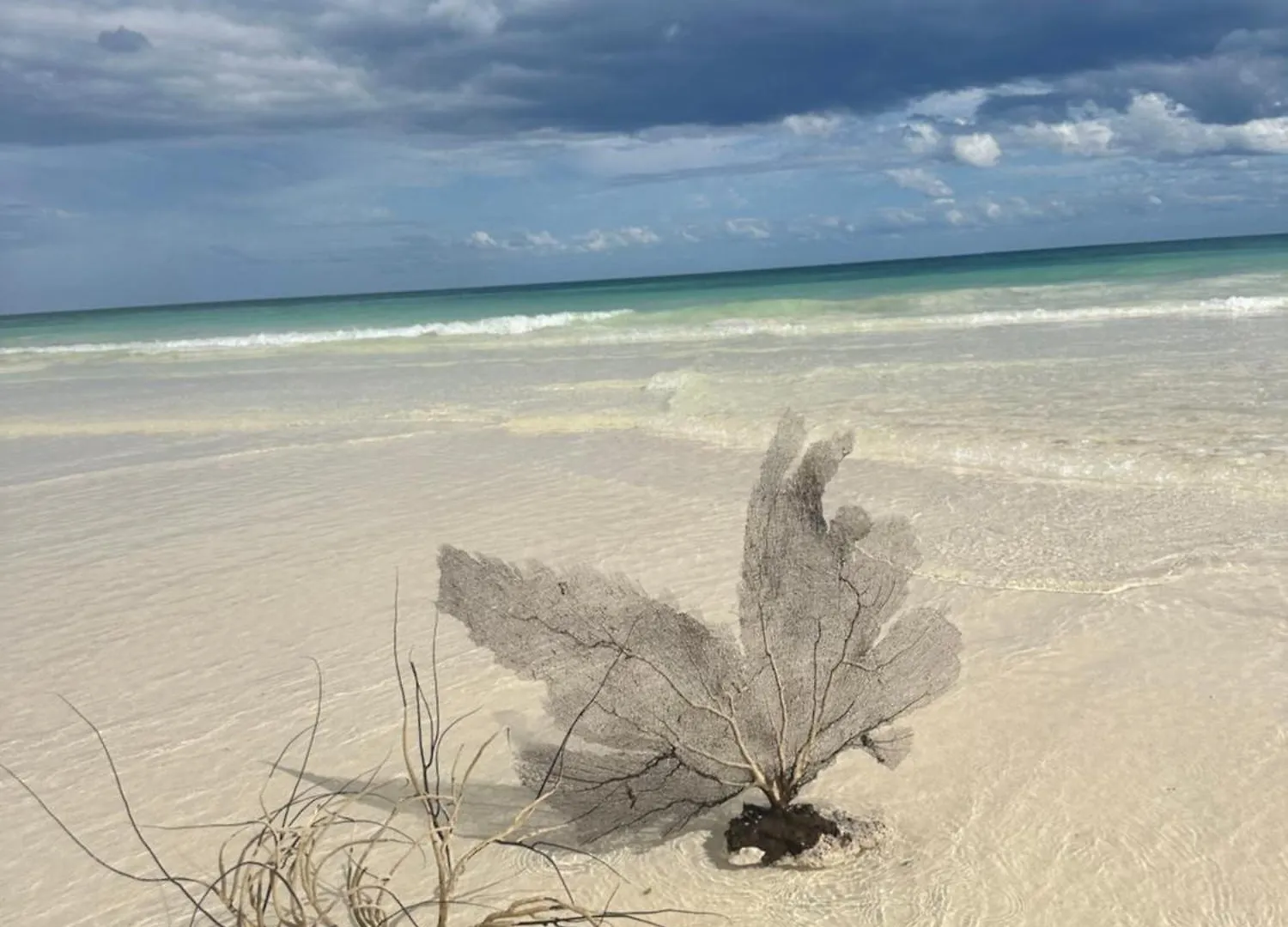 Aflora Resort Style Studio Tulum