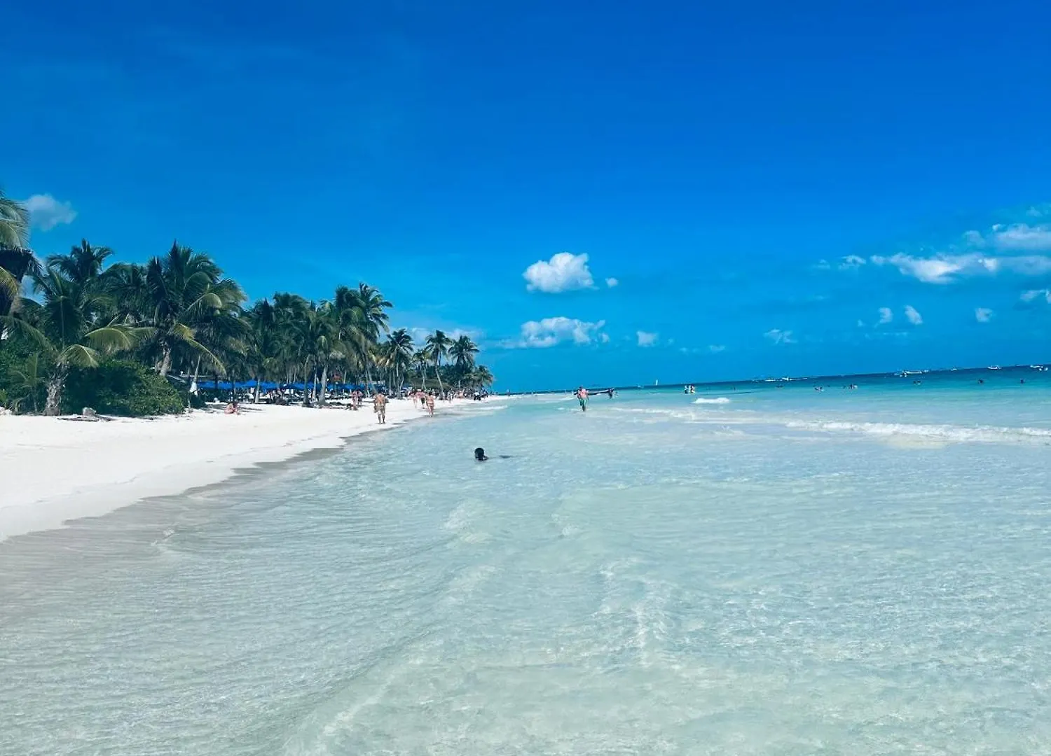 Apartment Aflora Resort Style Studio Tulum